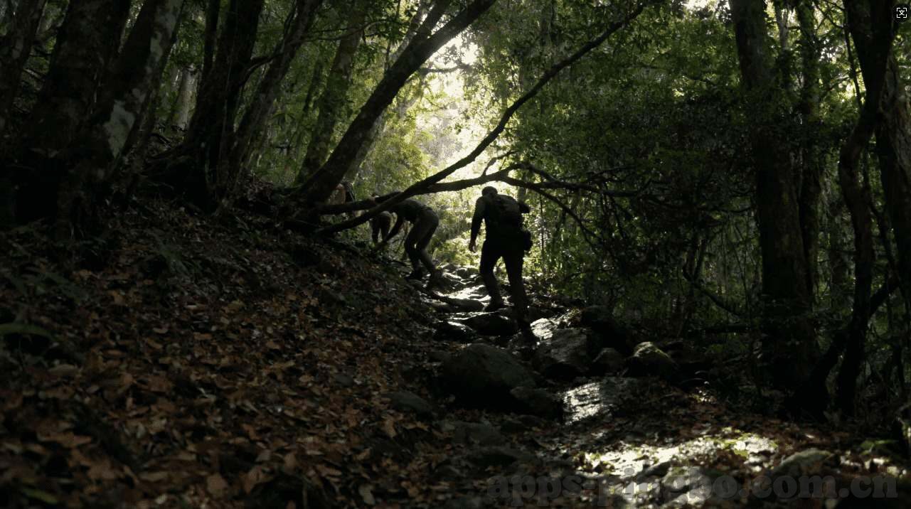 哪种炸金花哪个最好玩-哪种炸金花玩法最有趣